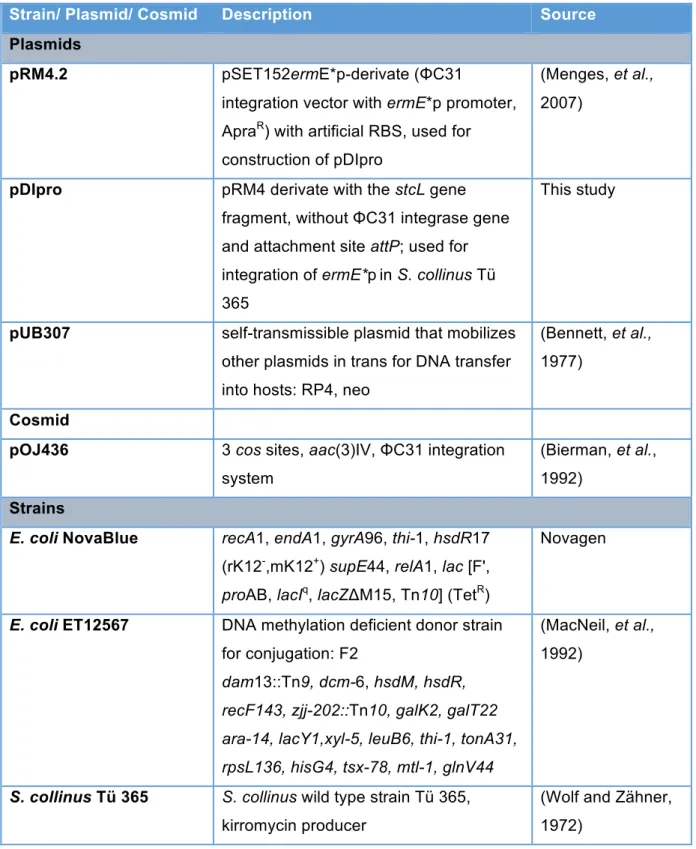 Table S1: Strains and plasmids used in this study 