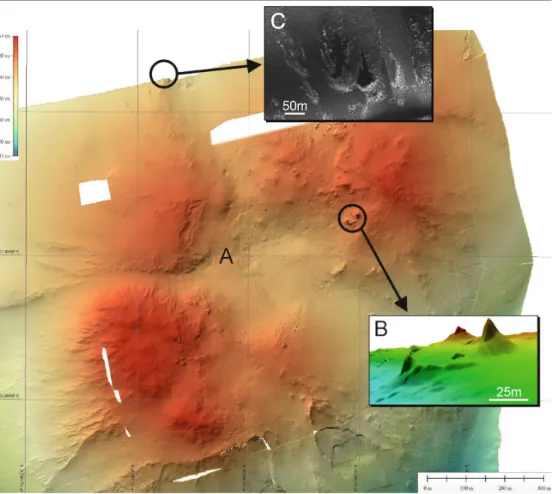 Figure  3.2  shows  a  map  of  the  target  areal.  The  drilled  SMS  deposit  is  annotated  with  A
