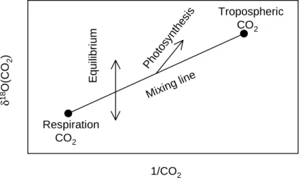 Figure 4.6: Hypothetical relationship between δ 18 O and the inverse CO 2 mixing ratio within a canopy.