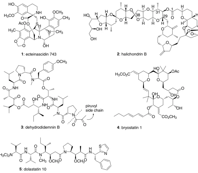 Figure 1: Bioactive marine derived compounds  under intense  investigation as anticancer agents.