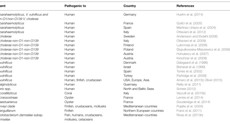 TABLE 1 | Recent Vibrio-associated diseases caused by Vibrio in Europe.