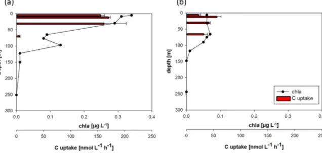 Figure 7. Chlorophyll a (chl a, µg L −1 ) distribution as determined from discrete measurements and carbon uptake rates (a) inside the eddy (eddy_2, second observation) and (b) at the eddy rim (location denoted in Fig