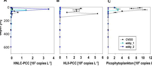 Figure 8. Vertical distribution of Prochlorococcus and Synechococcus ecotypes quantified by qPCR