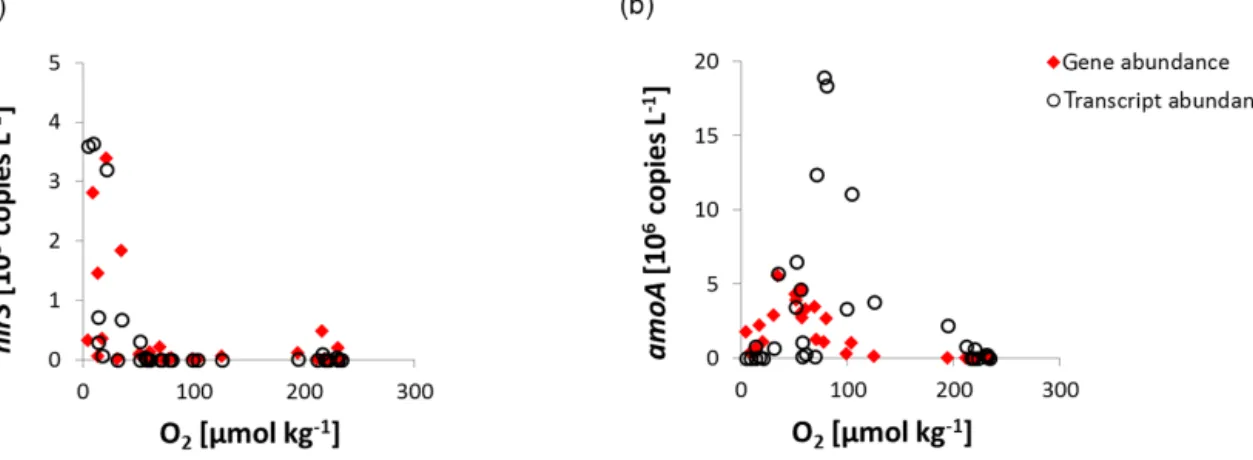 Figure 9. Gene and transcript abundance vs. O 2 concentrations of samples from the eddy observations (eddy_1 and eddy_2) and CVOO.