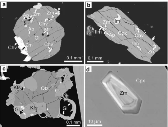 Fig. 3   BSE images of min- min-eralogical assemblages in  the trachytes and rhyolites