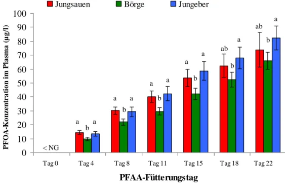 Abb. 10: Verlauf der PFOA-Konzentrationen (MW ± s) im Plasma der Mastschweine während der 21- 21-tägigen PFAA-Fütterungsperiode 
