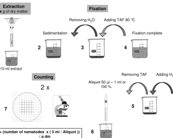 Fig. 2.2:   Extraction, fixation and counting of nematodes; (1) Baermann extraction  and collection of nematodes in a 10 ml aliquot, (2-4) fixation of nematodes  with hot TAF, (5) exchange of TAF through H 2 O for counting, (6)  removing an aliquot from a 