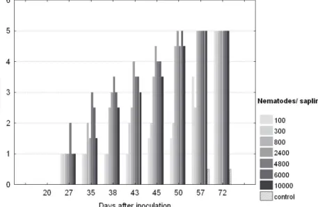 Fig. 3.1:   Median of symptom development in Pinus sylvestris saplings after  inoculation with Bursaphelenchus xylophilus with 100, 300,800, 2400,  4800, 6000 or 10000 nematodes per sapling and control (n = 10) 