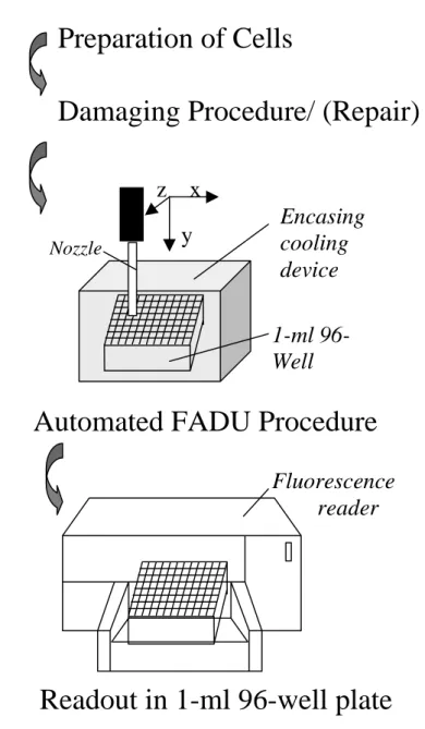 Fig. 11. Schematic overview depicting the experimental procedure of the automated FADU assay.