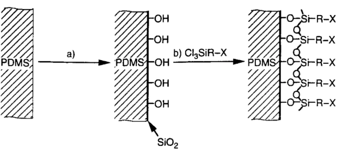 Abbildung  3-2  Modifikation einer PDMS-Oberfläche. a) Behandeln mit einem Sauerstoff-Plasma.
