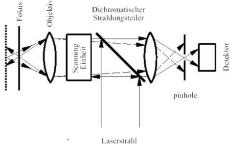 Abb. 2.1: Schematischer Aufbau des konfokalen Laser Scanning Mikroskops