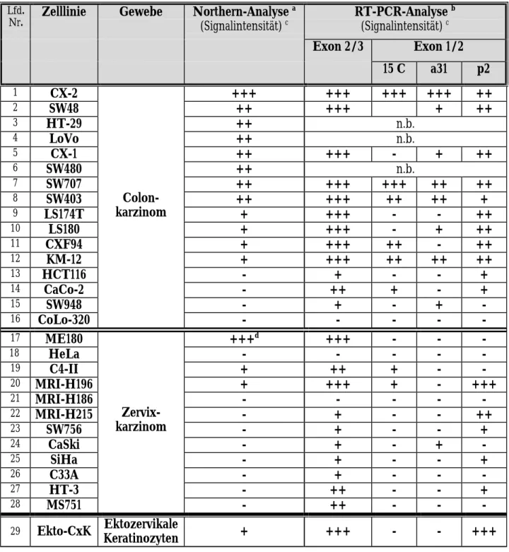 Tabelle 2: Vergleich von Northern- und RT-PCR-Analyse der APM-1 -Genexpression in   Tumorzelllinien verschiedener Gewebe und in ektozervikalen Keratinozyten 