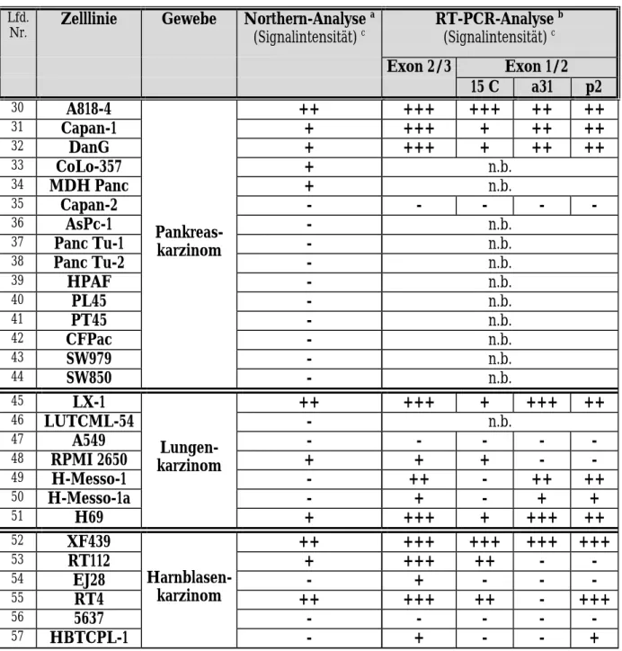 Tabelle 2: Vergleich von Northern- und RT-PCR-Analyse der APM-1 -Genexpression in   Tumorzelllinien verschiedener Gewebe und in ektozervikalen Keratinozyten  (Fortsetzung) 