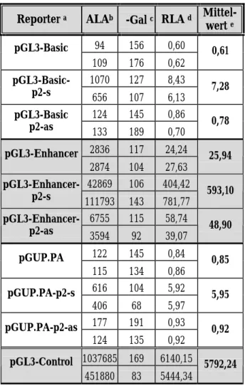Tabelle 2: Analyse transienter Transfektionen zur Bestimmung der Promotor-/Enhancer-  Aktivität des p2-Fragments
