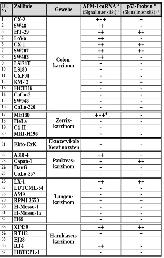 Tabelle 1: Vergleich der Mengen von APM-1-mRNA und p53-Protein in Tumorzelllinien    verschiedener Gewebe und in ektozervikalen Keratinozyten 
