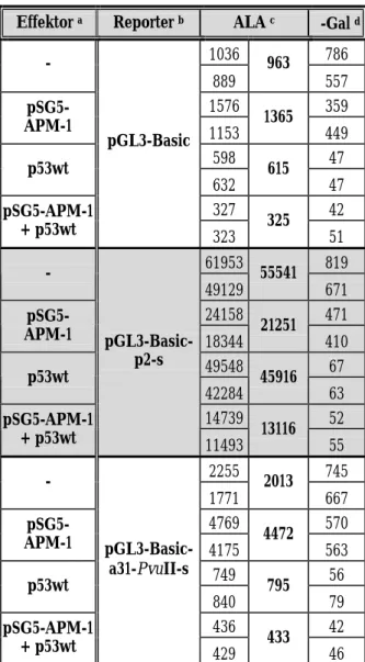 Tabelle 2 A: Analyse transienter Transfektionen zur Bestimmung der Promotor-/Enhancer-  Aktivität des p2-Fragments, des a31-PvuII-Fragments, von p53-Bindungsstellen und   der p53-Kontrollregion nach Co-Transfektion mit pSG5-APM-1 und/oder p53wt 