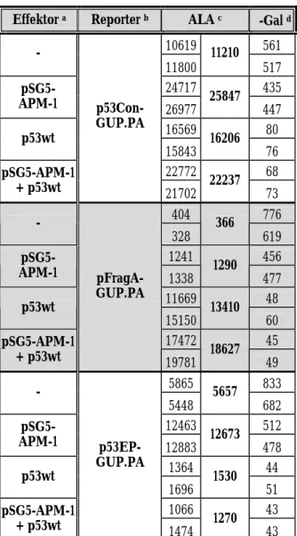 Tabelle 2 A: Analyse transienter Transfektionen zur Bestimmung der Promotor-/Enhancer-  Aktivität des p2-Fragments, des a31-PvuII-Fragments, von p53-Bindungsstellen und   der p53-Kontrollregion nach Co-Transfektion mit pSG5-APM-1 und/oder p53wt    (Fortset