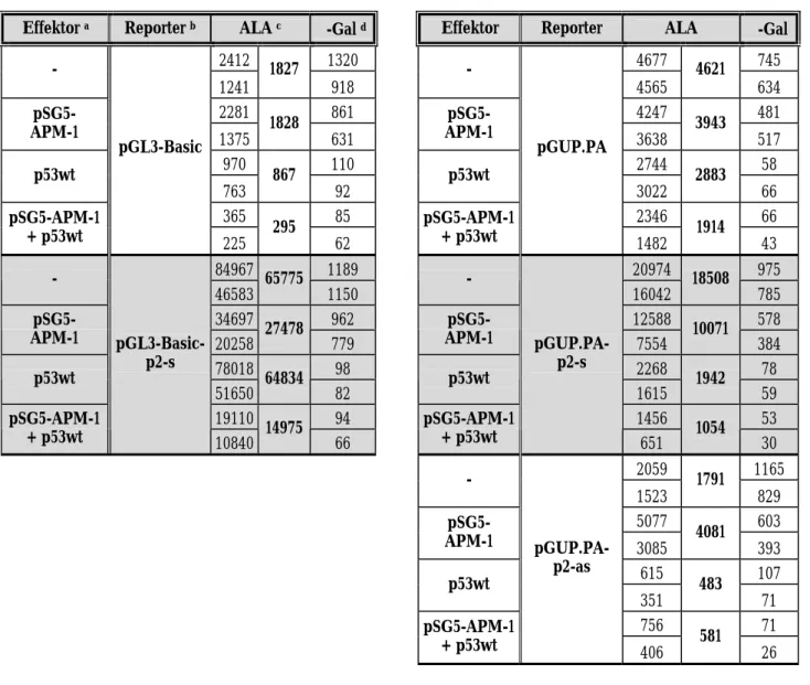 Tabelle 2 B: Analyse transienter Transfektionen zur Bestimmung der Promotor-/Enhancer-  Aktivität des p2-Fragments nach Co-Transfektion mit pSG5-APM-1 und/oder p53wt 