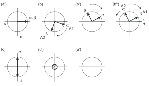 Abb. 1.4: Die zeitliche Entwicklung der Magnetisierung des A-Spins im AK-Spinsystem