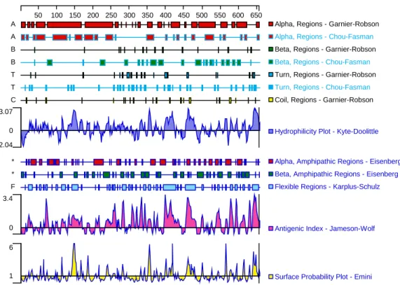 Abb. 4.29 Sekundärstruktur des 26C/C9/2-Proteins nach Vorhersage mit dem Programm Protean des DNASTAR-Pakets.