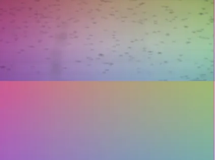 Abbildung 3.6: Bilder des Farbmusters bei vorhandenen Luftblasen. Oben: Originalbild; unten: nach der Normierung.