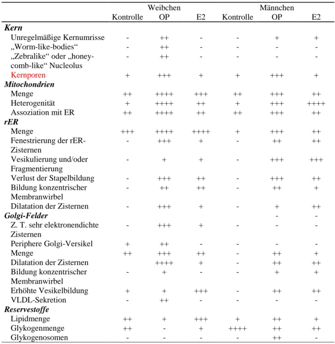 Tabelle 3.3.4: Cytologische Veränderungen in der Leber adulter Zebrabärblinge nach lebenslanger Exposition gegenüber Octylphenol (≥ 20 µg/L) und DMSO.