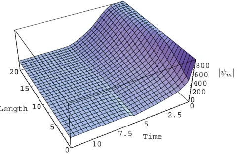Figure 5.1: Solution surface for the Richards equation (5.1) in