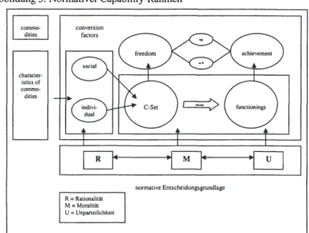 Abbildung 5: Normativer Capability-Rahmen 