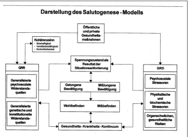 Abb. 4: Vereinfachtes Modell der Salutogenese nach A NTONOVSKY  (K NOLL  1997a, 28)