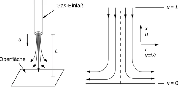 Abbildung 2.2: Staupunktstromung auf eine chemisch reaktive Platte.