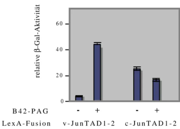 Abb. 10  Die  δ -Domäne inhibiert die Interaktion der c-Jun Transaktivierungsdomäne mit  PAG