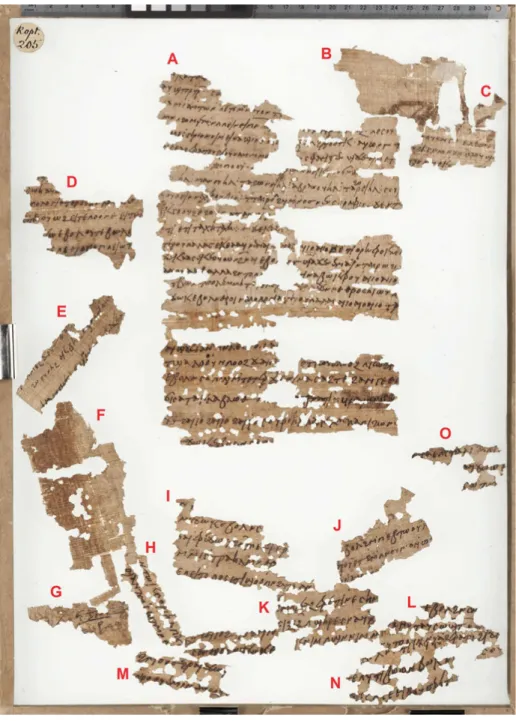 Fig. 3: The “recto” of P. K 205. Photo et collection BNU Strasbourg.