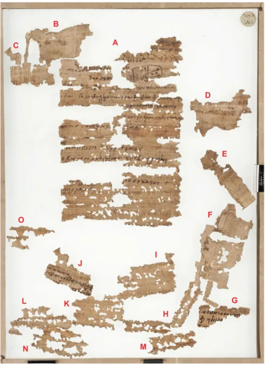 Fig. 4: The “verso” of P. K 205. Photo et collection BNU Strasbourg.