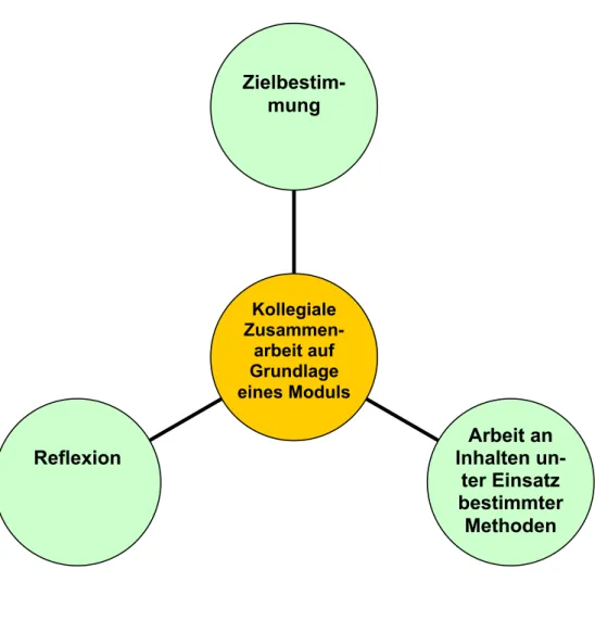 Grafik 4: Reflektieren im SINUS-Prozess 