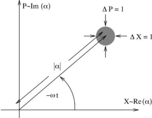 Figure 1.1: Illustration of a coherent state in the phase-space plane. Here, the actual ‘size’ of the state, here equal to 1 in diameter, depends on the probability distribution that is used
