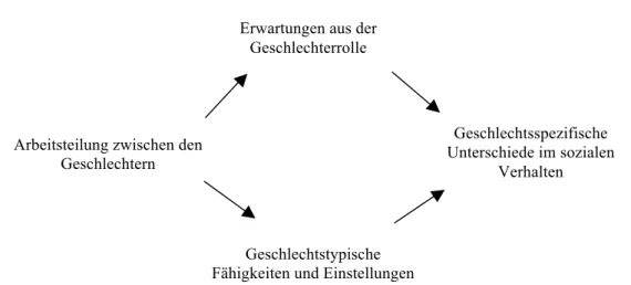 Abb. 2-3: Entstehung von geschlechtsspezifischen Verhaltensunterschieden aus Sicht der Rollentheorie  Quelle: Eigene Grafik in Anlehnung an Eagly und Wood (1991) 