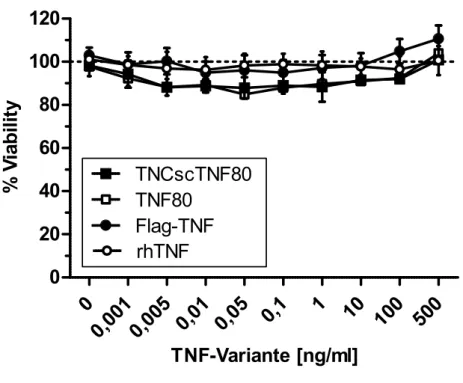Abb. 8:  Wirkung der TNF-Varianten auf kontrolltransduzierte Wirbelzellen