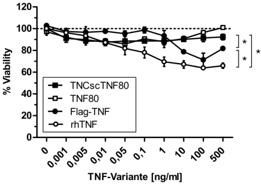 Abb. 9:  Wirkung der TNF-Varianten auf TNFR1-transduzierten Wirbelzellen