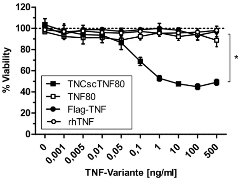 Abb. 10:  Wirkung der TNF-Varianten auf TNFR2-transduzierten Wirbelzellen
