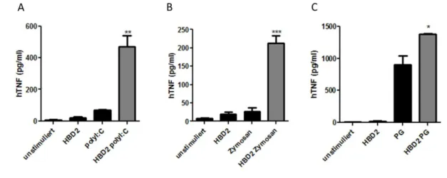 Abb.  6:  Proinflammatorischer  Effekt  einer  HBD2-Vorbehandlung  mit  weiteren  TLR-Liganden  in  THP1-Zellen