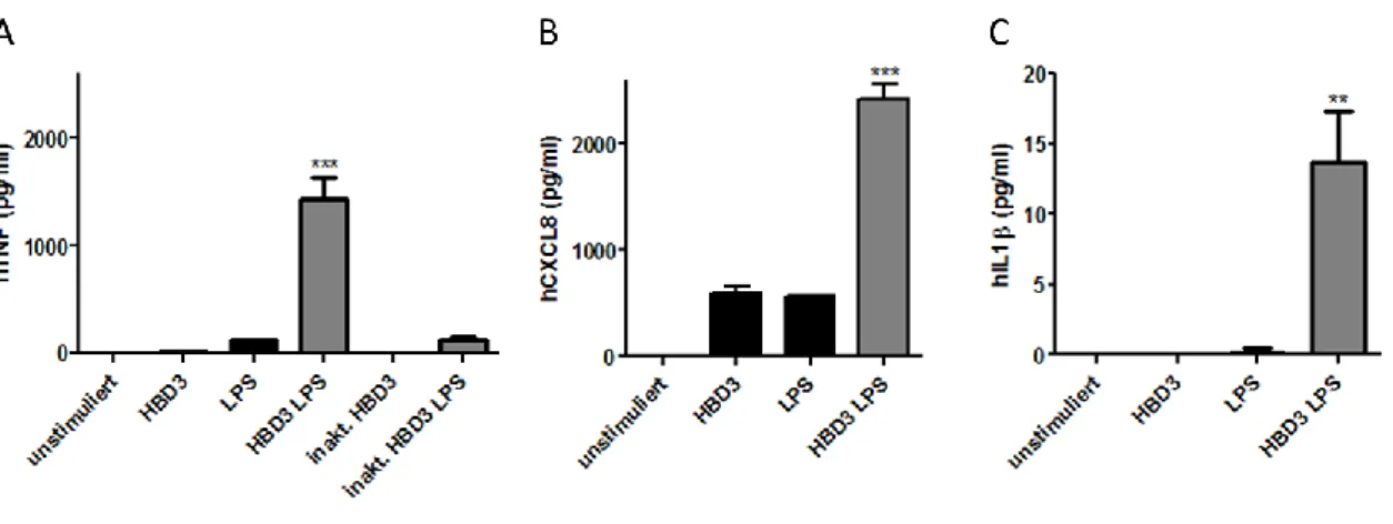 Abb.  7:  Proinflammatorischer  Effekt  der  Vorstimulierung  mit  HBD3.  (A)  TNF-,  (B)  CXCL8-  und  (C)  IL1β- IL1β-Produktion nach Vorstimulierung von THP1-Zellen mit 5μg/ml HBD3:Ig für 4h und anschließender Restimulierung mit  100ng/ml LPS für 4h