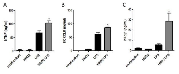 Abb. 9: Synergistischer Effekt von HBD2 auf die Produktion von TNF, CXCL8 und IL1β in PBM