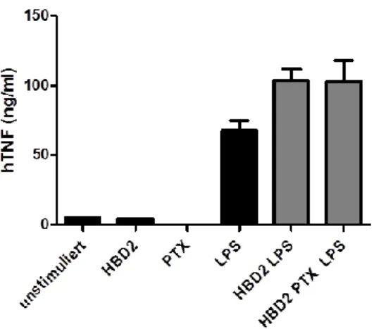 Abb.  10:  Keine  Beteiligung  von  G i PCR-Signalwegen  bei  HBD2-induziertem  synergistischem  Effekt