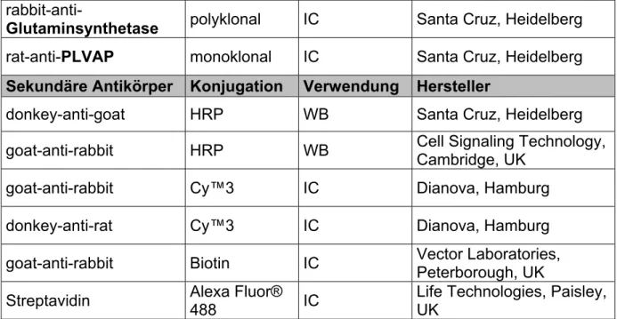 Tabelle 6: Liste der eingesetzten Antikörper für Western Blot Analysen und Immunhistochemie  
