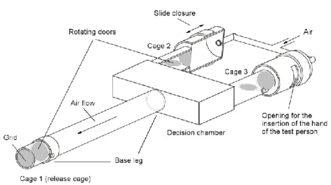 Fig. 2.3: Y-tube olfactometer according to Geier et al. (1999). Cage 2 and 3: control or treatment cage