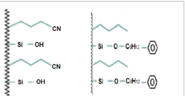 Figure  16.  The  difference  in  the  silica  bonding  of  Luna  Phenyl-Hexyl  column  and  Nucleodur   CN-RP column