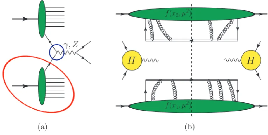 Figure 3.1.: Drell-Yan production of an electroweak gauge boson: (a) full diagram; (b) factorized form of the cross section in the framework of collinear factorization.