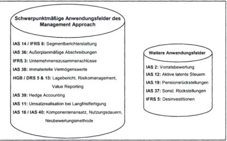 Abbildung 8-1:  Anwendungsfelder des Management Approach 