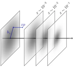 Figure 4.3.: Schematic cartoon of the impact parameter representation q(x, b ⊥ ). For given x the distribution q(x, b ⊥ ) gives the probability density to find a quark q inside a fast moving nucleon, separated by a distance b ⊥ from the center of motion an