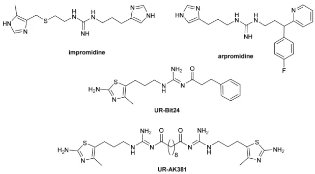 Figure 1.8. Chemical structures of selected H 2 R agonists 